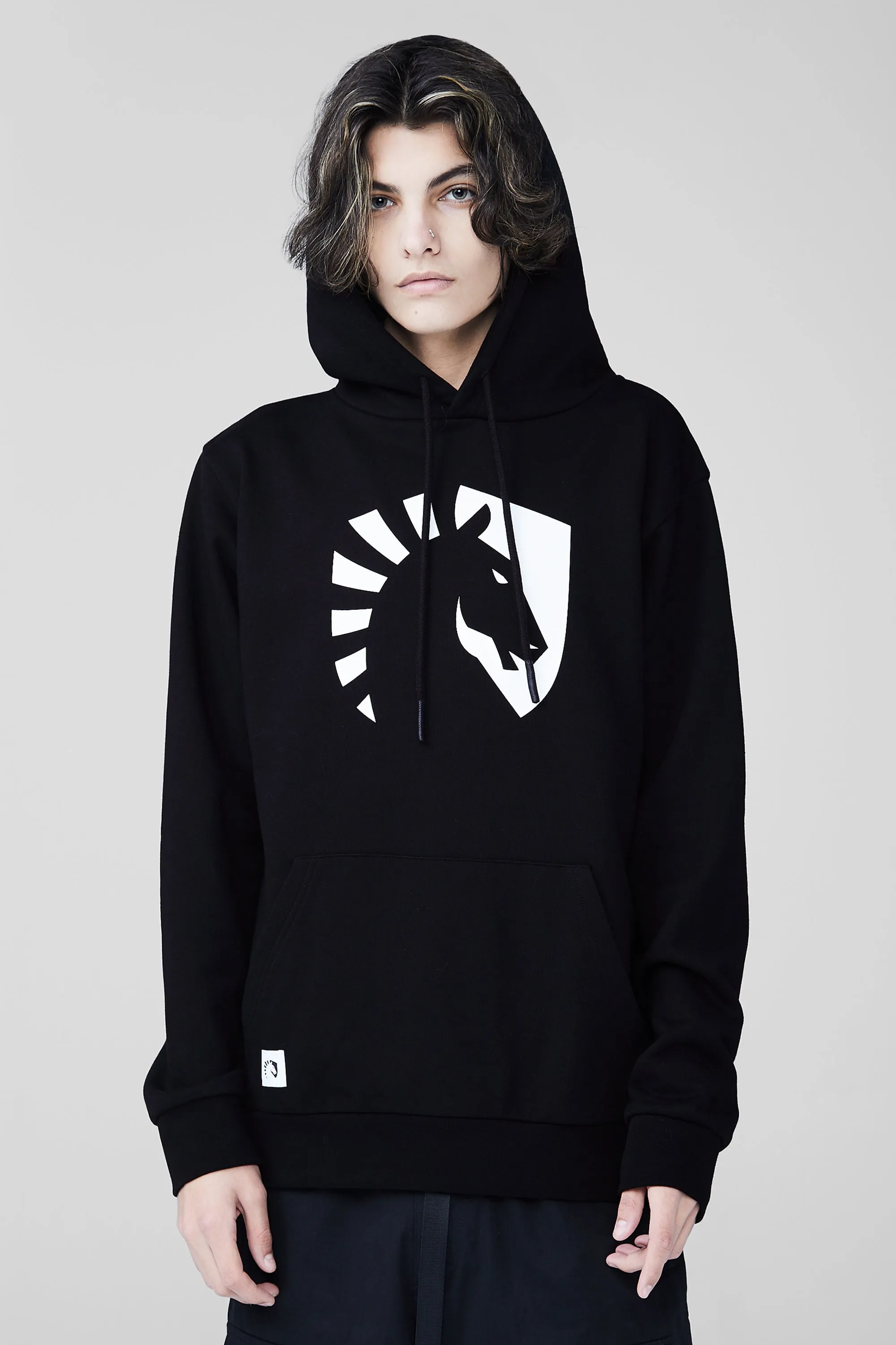 CREST HOODIE