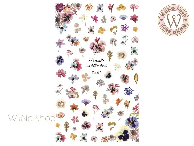 Flower Specimens Adhesive Nail Art Sticker - 1 pc (F442)