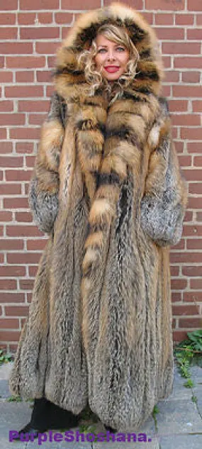 Sensational Hooded Solid Multi Color Cross Fox Canadian Fur Coat 80 Sweep M/L